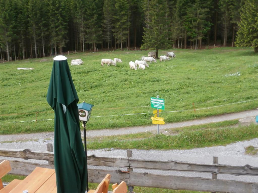 فندق Plöckenفي  Gasthof Untere Valentinalm المظهر الخارجي الصورة